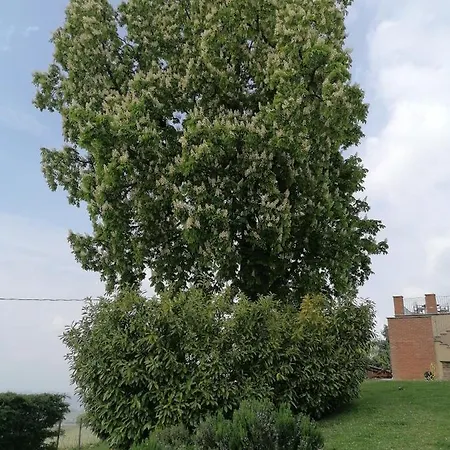 San Stefanetto Treiso